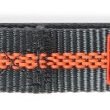 Dexas Off-Leash Collar Small