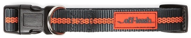 Dexas Off-Leash Collar Small