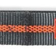 Dexas Off-Leash Collar Medium