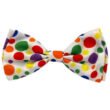 Happy Barkday Bow Tie Large