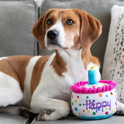happy_barkday_cake_5_1.jpg Happy Barkday Cake Dog Toy Large