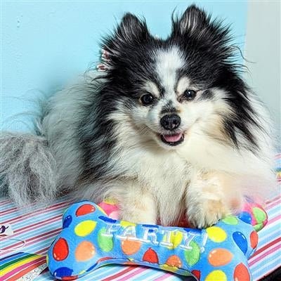 Party Time Bone Dog Toy Pink - Small